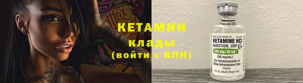 сатива Надым