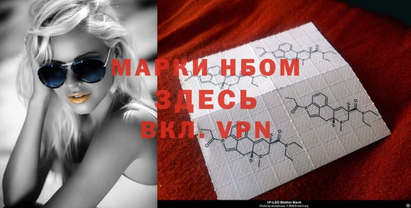 сатива Надым