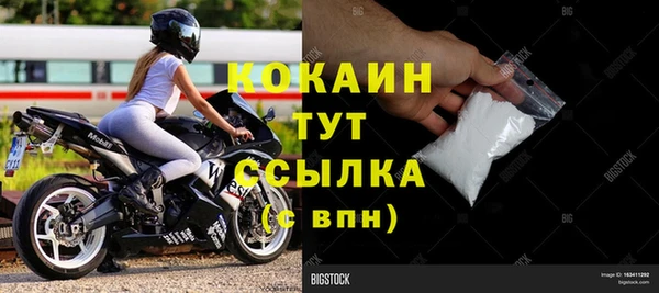 сатива Надым